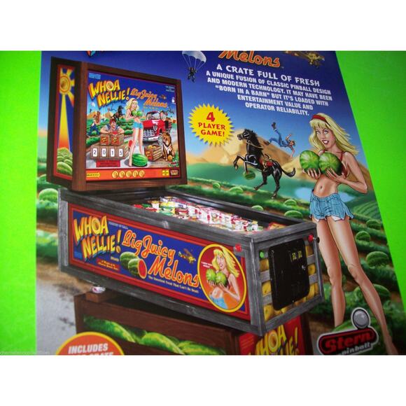 Whoa Nellie Big Juicy Melons Flyer Original Pinball Machine Sexy Lady Risque - Picture 7 of 7